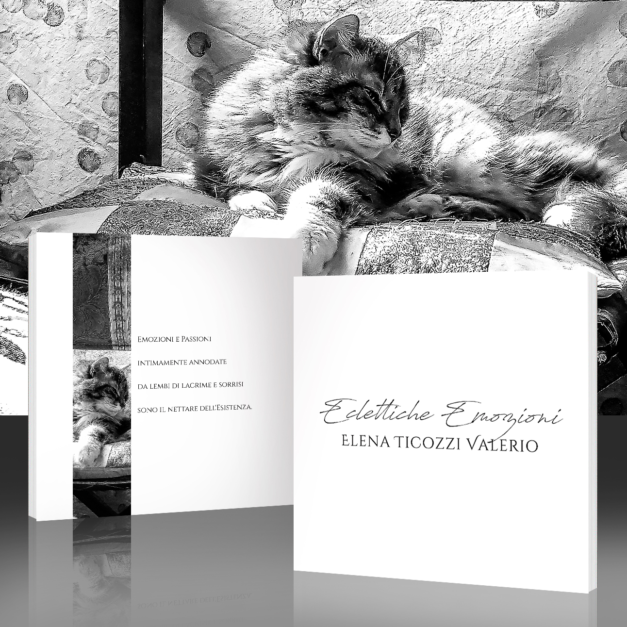 cover-3d cover-3d