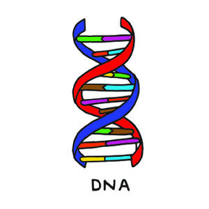 disegno della doppia elica del DNA